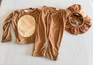 Pottery Barn Kids Brown Velvety Lion Costume 2T Halloween Dress Up
